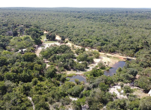 Ambientalistas deixam em bloco o Conselho Estadual de Política Ambiental de Zema