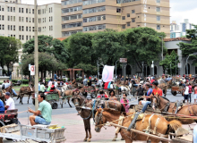 “A Cidade é Nossa Roça! Nossa Luta é na Carroça!”