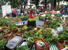 Após 20 anos de produção, juiz manda despejar famílias de Campo do Meio